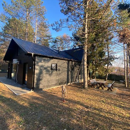 Kuca Za Odmor Vrdnik Villa Eksteriør billede