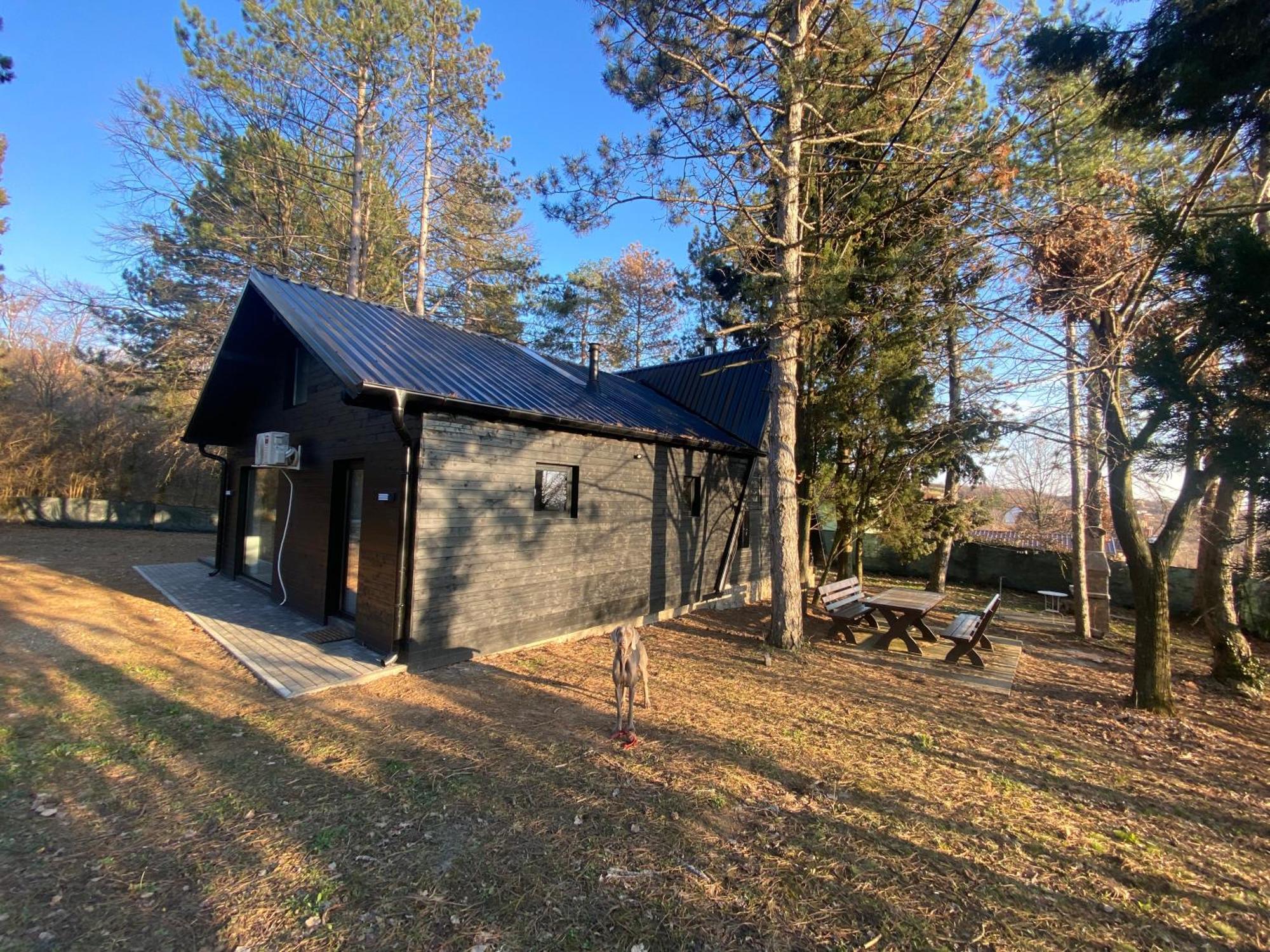 Kuca Za Odmor Vrdnik Villa Eksteriør billede