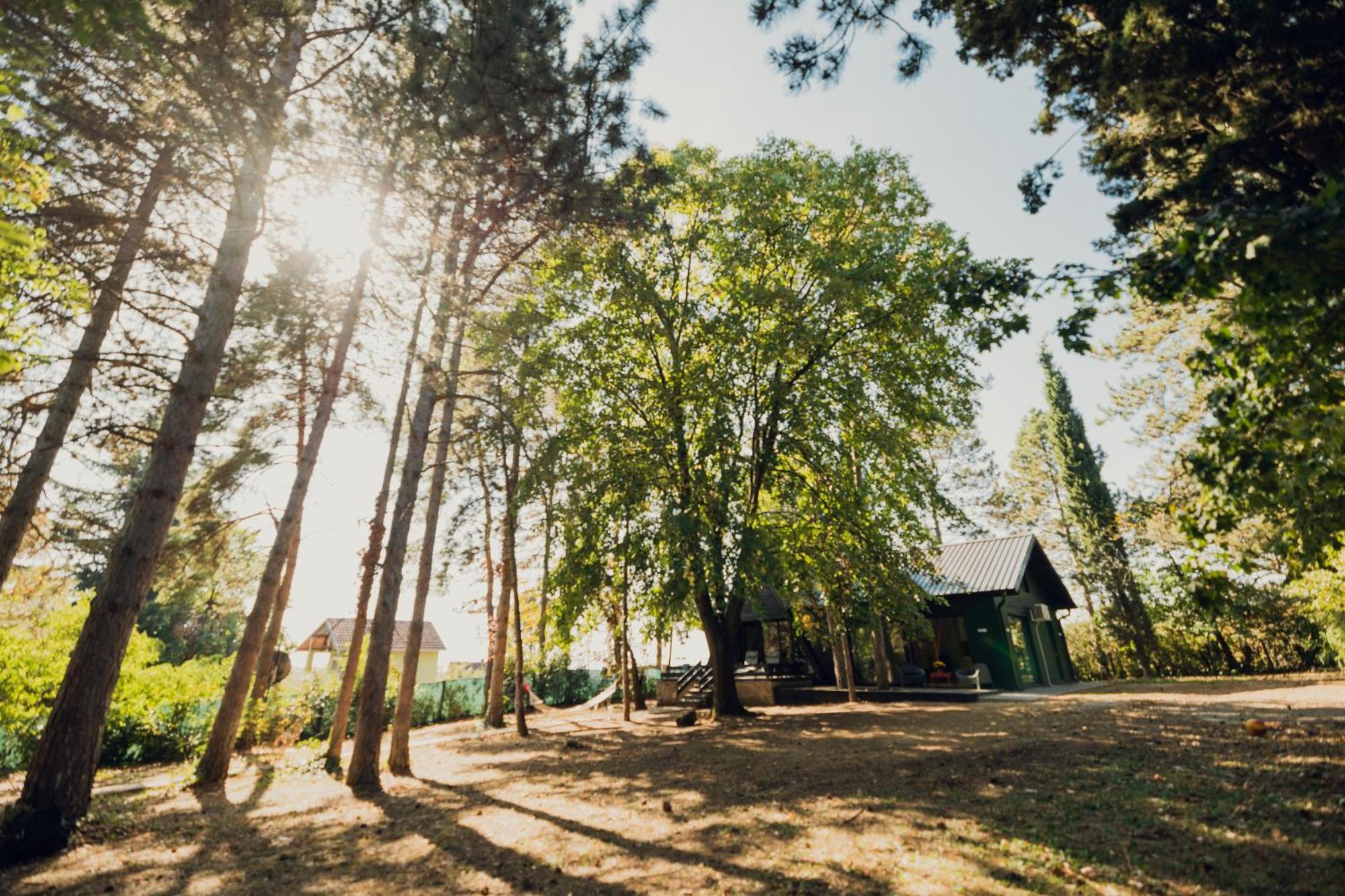 Kuca Za Odmor Vrdnik Villa Eksteriør billede
